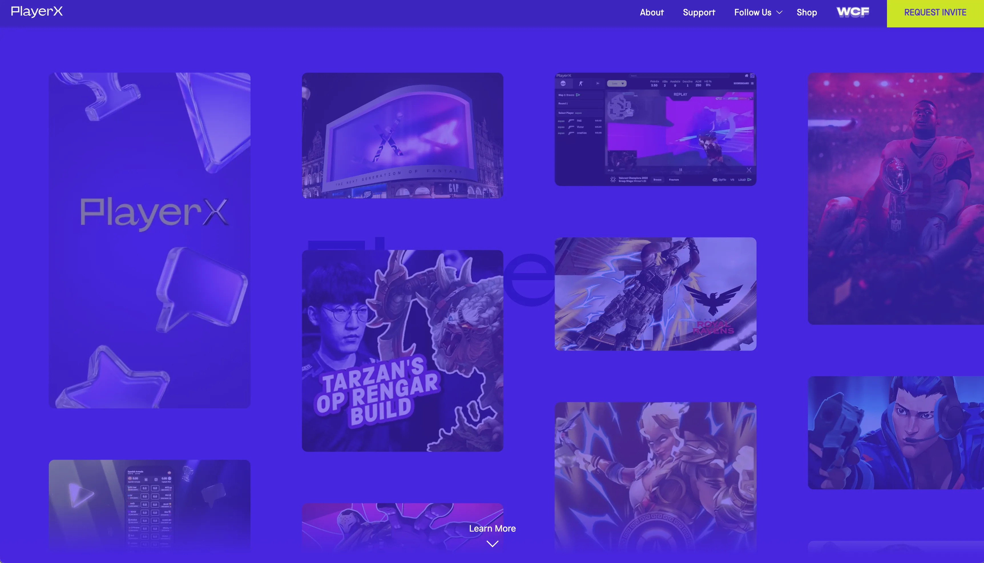 PlayerX